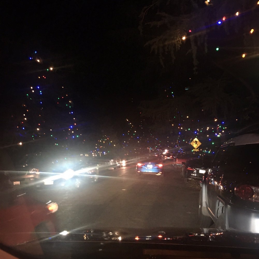 Christmas Tree Lane - Christmas Trees Near Me - Altadena, California Christmas Tree Lane - Christmas Trees Near Me - Altadena, California