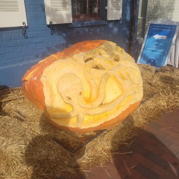 Visit Annapolis - Visitor Centers Near Me - Annapolis, Maryland Visit Annapolis - Visitor Centers Near Me - Annapolis, Maryland