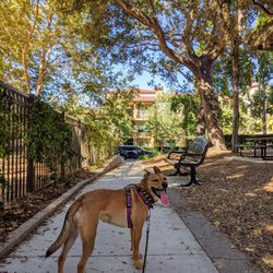 City Hall Park