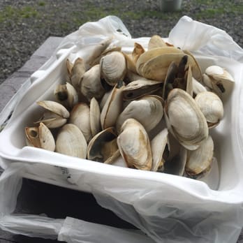 Beach Plum Lobster Farm - Seafood Markets Near Me - Ogunquit, Maine