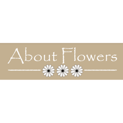 About Flowers