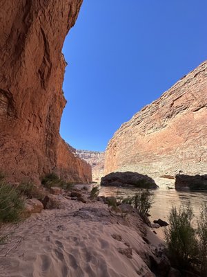 Colorado River and Trail Expeditions