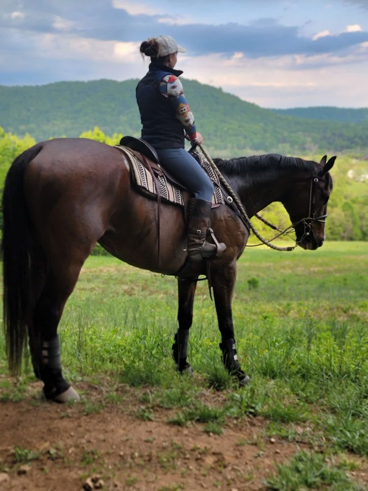 SOFT SPURS RANCH Updated September 2024 Fredericksburg, Virginia