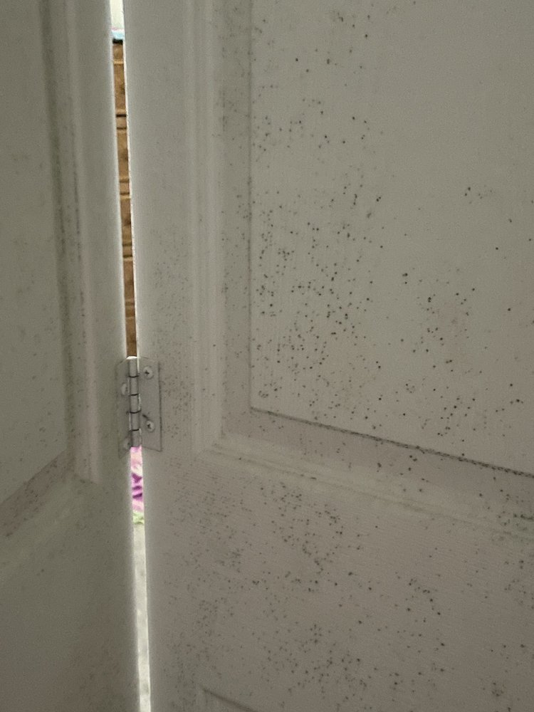 ROSSMAN REALTY PROPERTY MANAGEMENT Updated September 2024 17 Photos