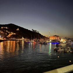 City of Avalon - Avalon bay night views