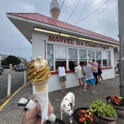 Marvel Frozen Dairy - Coffee Ice Cream with Peanut Butter Bonnet