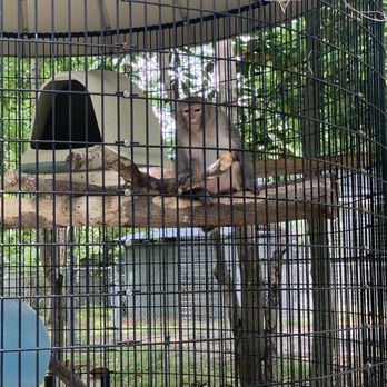 Tregembo Animal Park - Zoos Near Me - Wilmington, North Carolina Tregembo Animal Park - Zoos Near Me - Wilmington, North Carolina