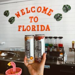 WTF Welcome to Florida - White rabbit in cans and on draft