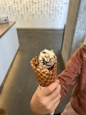 Sweet Science Ice Cream by null