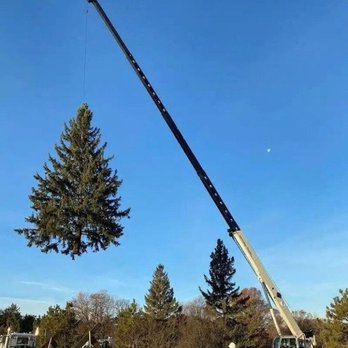 Ages Tree Service - Tree Services Near Me Ages Tree Service - Tree Services Near Me