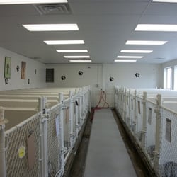 Green Hills Kennels
