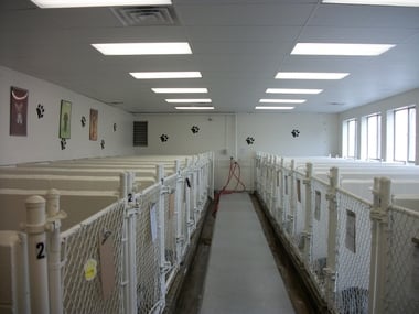 Green Hills Kennels - pet boarding facility in Nashville, TN