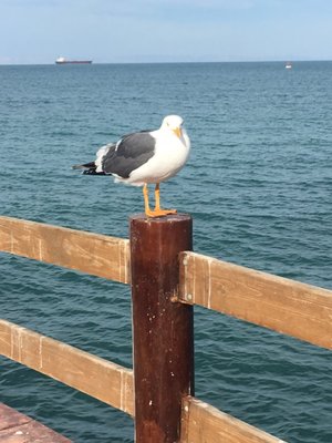 The Cortez Club, Dive Center. by null