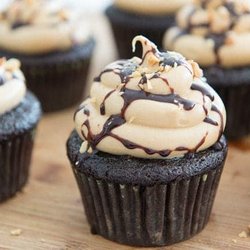 3pm Sugar Fix - Cupcakes