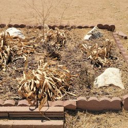 Apple Valley Weed Abatement