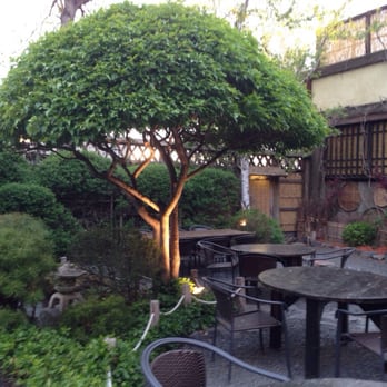 Domo - Outdoor zen - Japanese Near Me - Denver, Colorado Domo - Outdoor zen - Japanese Near Me - Denver, Colorado
