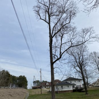 Timber Ninja Service - Customer was satisfied. A good day of experience. When executing 100% safety, you get the job done without preventable accidents. - Tree Services Near Me Timber Ninja Service - Customer was satisfied. A good day of experience. When executing 100% safety, you get the job done without preventable accidents. - Tree Services Near Me