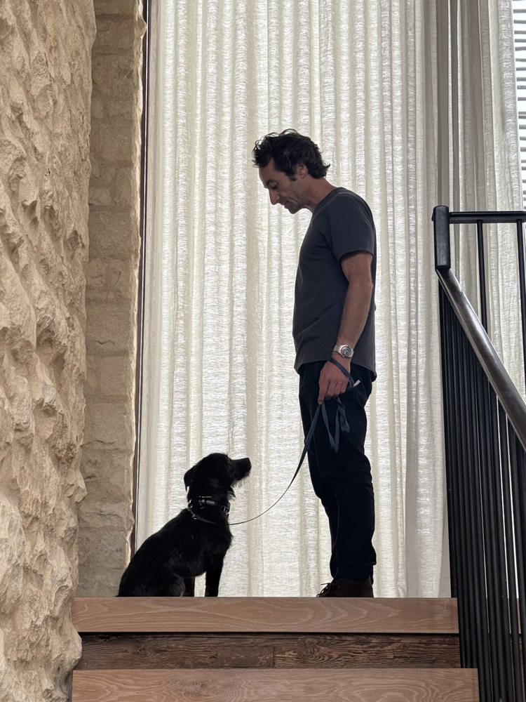 The Mold Scout - mold inspector in Los Angeles, CA