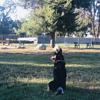 Fullerton Pooch Park - They recently added a ton more Adirondack chairs to the park, too. - Dog Parks Near Me - Fullerton, California Fullerton Pooch Park - They recently added a ton more Adirondack chairs to the park, too. - Dog Parks Near Me - Fullerton, California