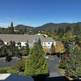 Holiday Inn Express Eugene - Springfield - View from the room. - Hotels Near Me - Springfield, Oregon Holiday Inn Express Eugene - Springfield - View from the room. - Hotels Near Me - Springfield, Oregon