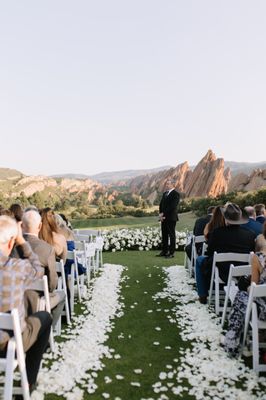 Bee & Pollen by null