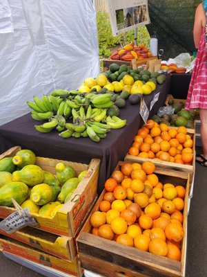 Pure Kona Green Market by null