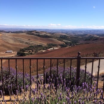 DAOU Vineyards - Wineries Near Me - Paso Robles, California