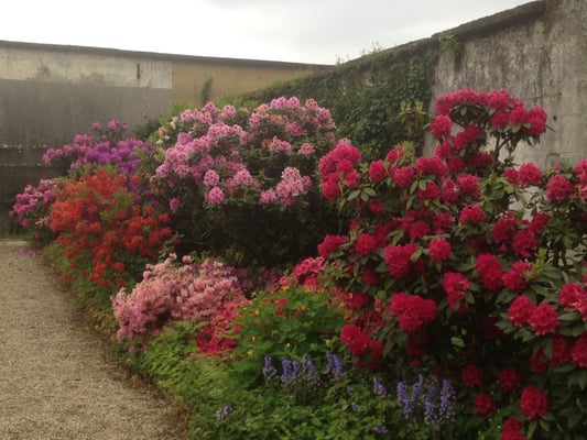 Potager du Roi by null