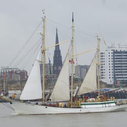 Sail Bremerhaven - Zawisa Czarny II