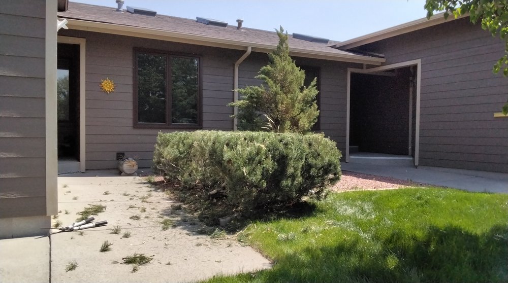 Baker Tree Care - tree service in Billings, MT