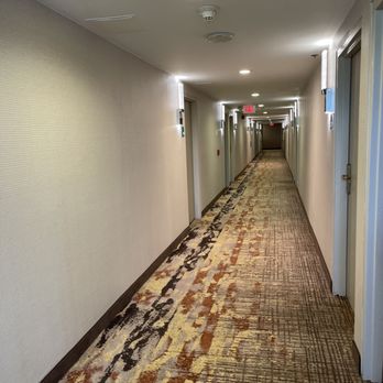 Holiday Inn - The hall going to our room - Hotels Near Me - Countryside, Illinois