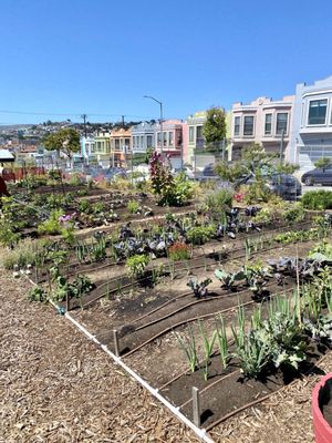 Florence Fang Community Farm by null