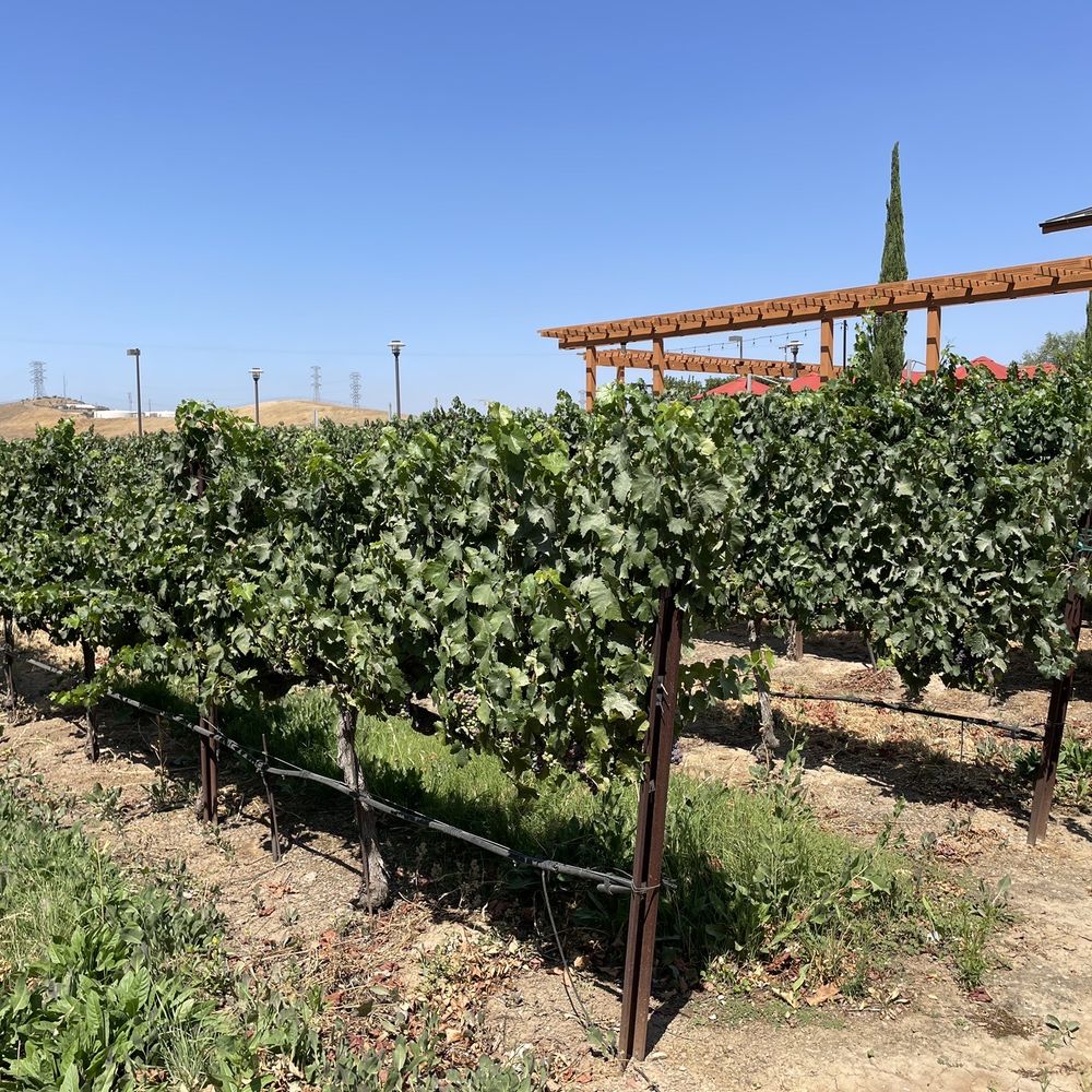 Garre Winery - Wineries Near Me - Livermore, California Garre Winery - Wineries Near Me - Livermore, California