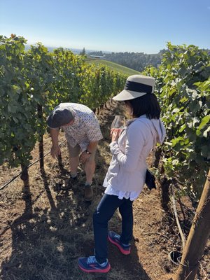 Winderlea Vineyard & Winery by null