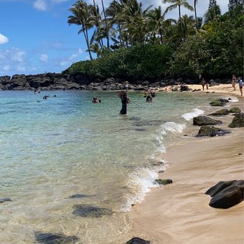Turtle Beach - Beaches Near Me - Haleiwa, Hawaii