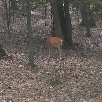 Peninsula State Park - Parks Near Me - Fish Creek, Wisconsin Peninsula State Park - Parks Near Me - Fish Creek, Wisconsin