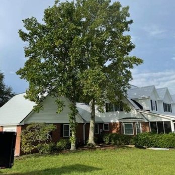 Northeast Florida Tree Surgeons - Before over roof - Tree Services Near Me - Live Oak, Florida