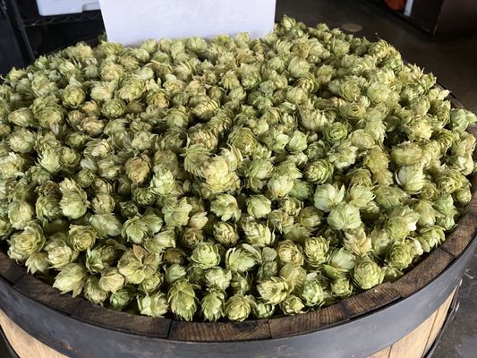 StormBreaker Brewing by null