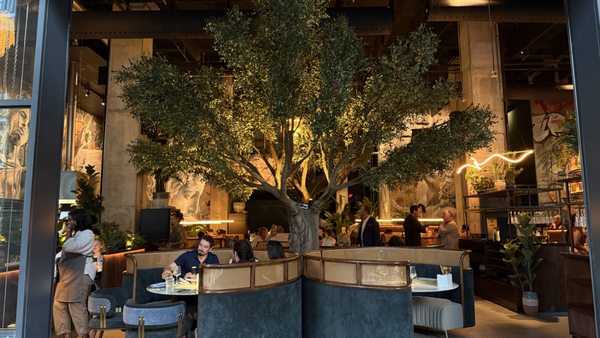 V Modern Italian by null