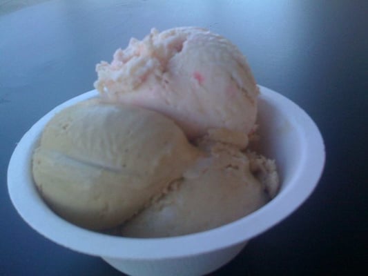 Humphry Slocombe by null
