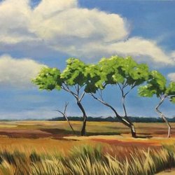 Signature Gallery of Savannah - Look at this view of the lowcountry marsh!