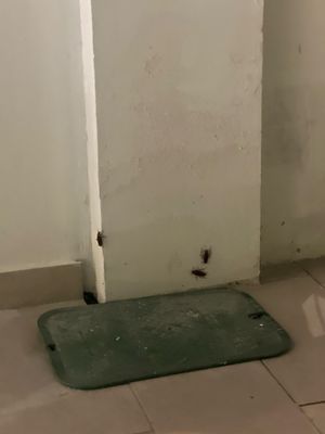 Abitta Boutique Hotel, Ascend Hotel Collection by null