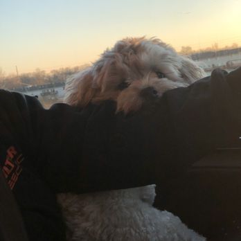 Petco - My fur baby! - Pet Groomers Near Me - Coralville, Iowa Petco - My fur baby! - Pet Groomers Near Me - Coralville, Iowa