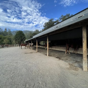 Five Brooks Ranch - Horseback Riding Near Me - Olema, California