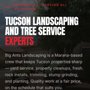 Big Ants Landscaping