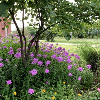 Bloom KS - Summer color - Landscaping Near Me Bloom KS - Summer color - Landscaping Near Me