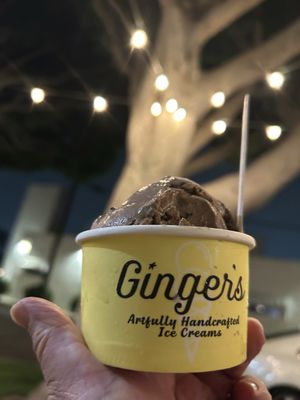 Ginger's Divine Ice Creams by null