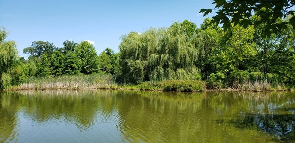 Northern Fauquier Community Park by null