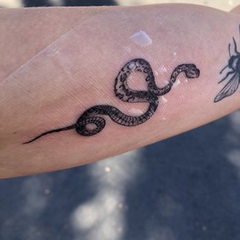 Full Circle Tattoo - Snake by Emiliano - Tattoo Near Me - San Diego, California Full Circle Tattoo - Snake by Emiliano - Tattoo Near Me - San Diego, California