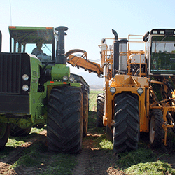 Bauer Built Tire & Service - Servicing the agriculture market with Michelin, Firestone, Alliance and Camso tire solutions.